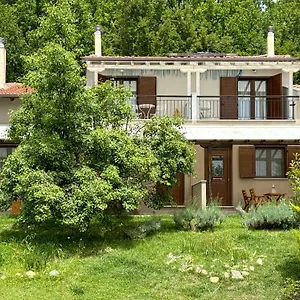 kedros.hotelschalkidiki.net/